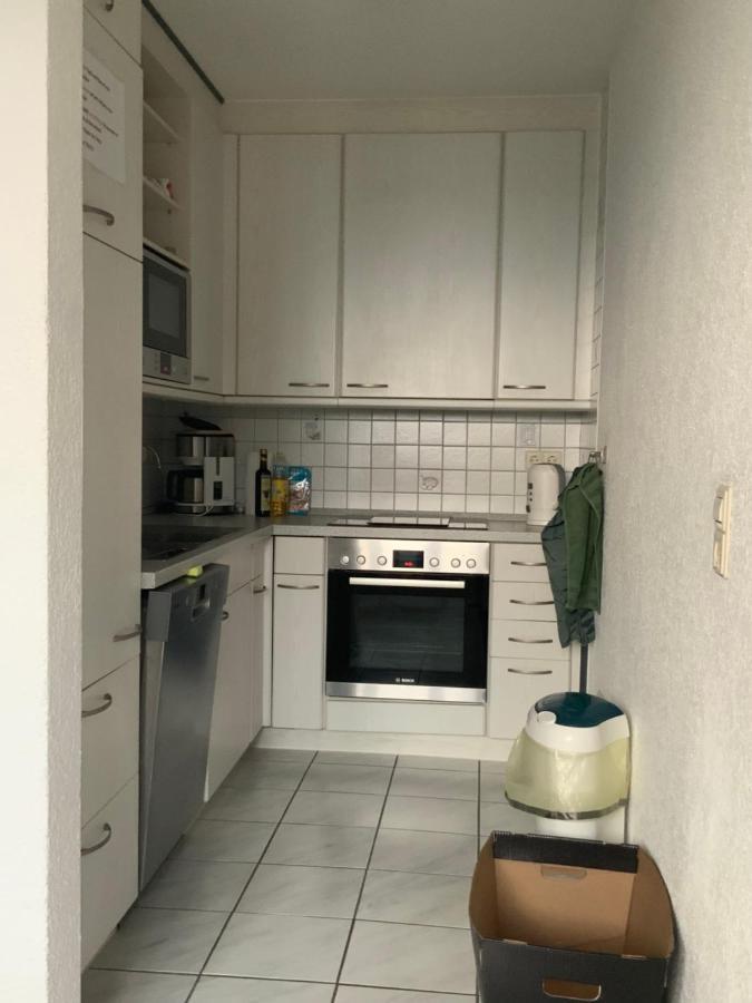 Ferienwohnung Sonnenschein Grenzach-Wyhlen Ngoại thất bức ảnh