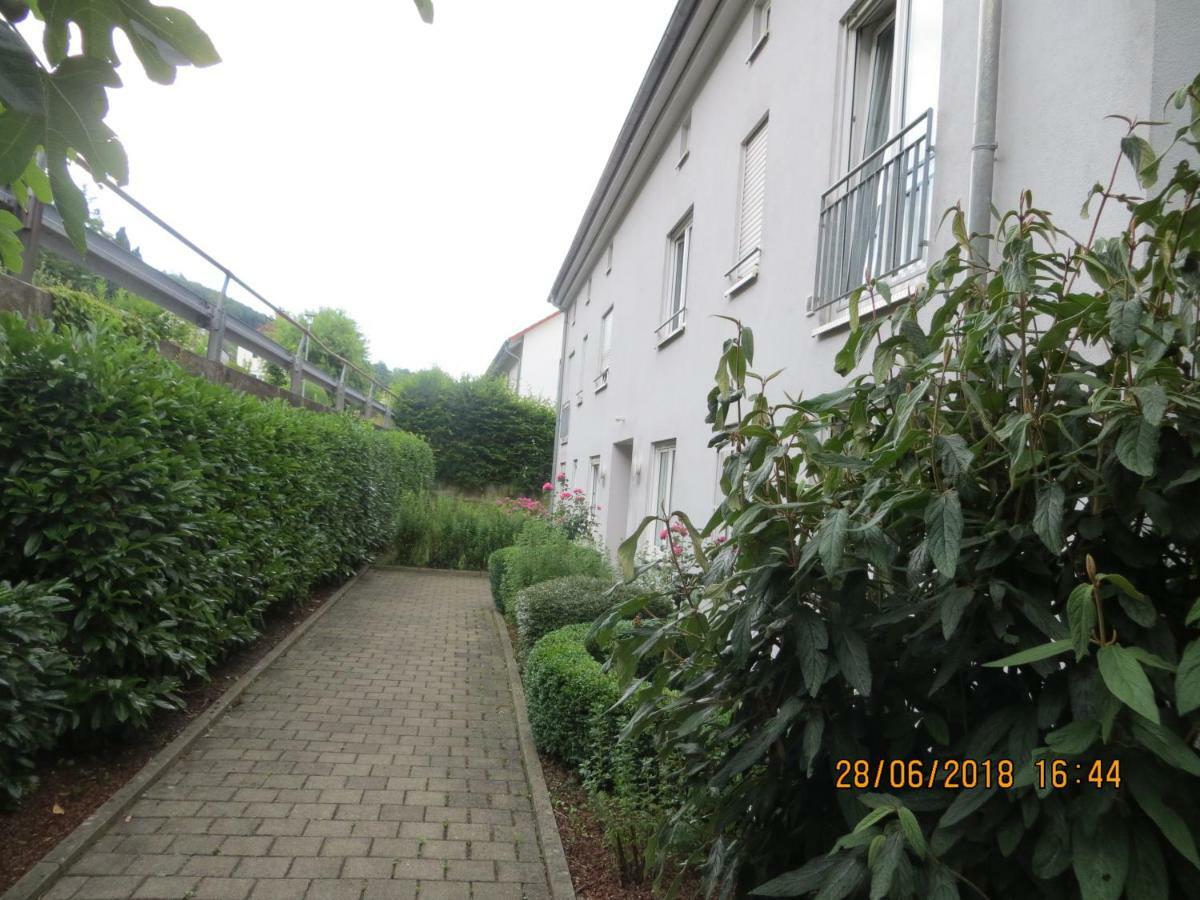 Ferienwohnung Sonnenschein Grenzach-Wyhlen Ngoại thất bức ảnh